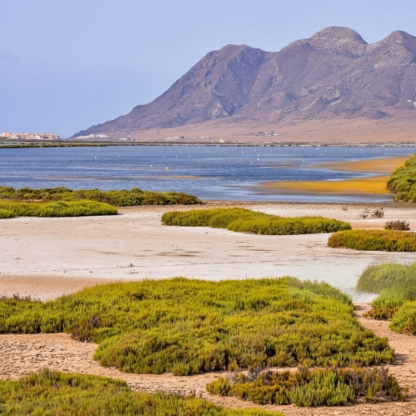 Cabo de Gata - Las Salinas
